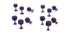 Dent Reaper Dead Center Variety Pack Purple Hex Tabs (12 Tabs)